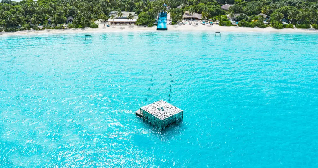 Luftaufnahme des Coralariums im Sirru Fen Fushi Maldives, das in einer einzigartigen Unterwasserinstallation zeitgenössische Kunst mit dem Meeresleben verbindet