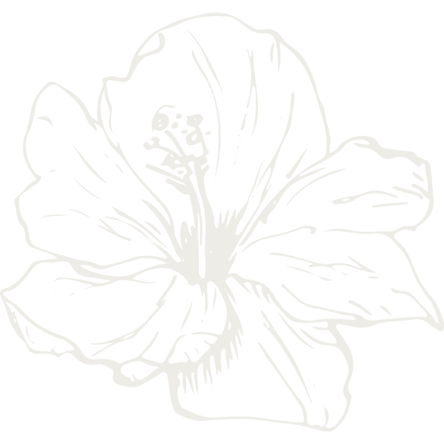167078653f76d0801024c9fd513ca5383d71e06a.png