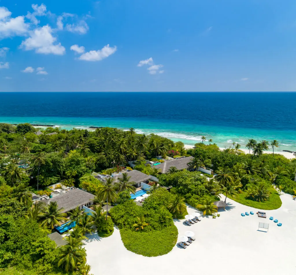 Sirru 7BD Selected 2