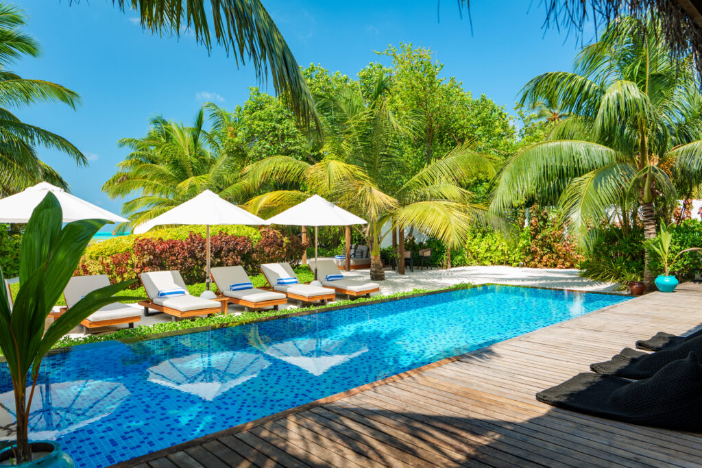 Sirru 7BD Selected 26