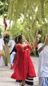Traditional Performance